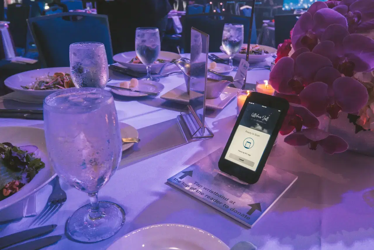 Alleluia Ball Gala Experience — Alleluia Ball case study